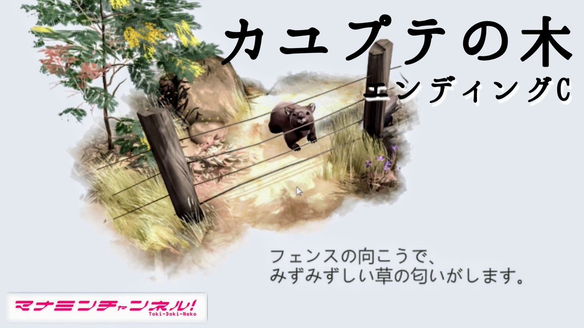 manaminekoko's tweet image. アニマル実況🐨
【カユプテの木/Paper bark】
3周目

1匹のウォンバットの冒険です。
エンディングが3種類あります。

この後、全てのアイテム(生物)を全て探すことが出来ました！
★エンディンC

#カユプテの木
#Paperbark

 youtu.be/NVnOS7HYck4