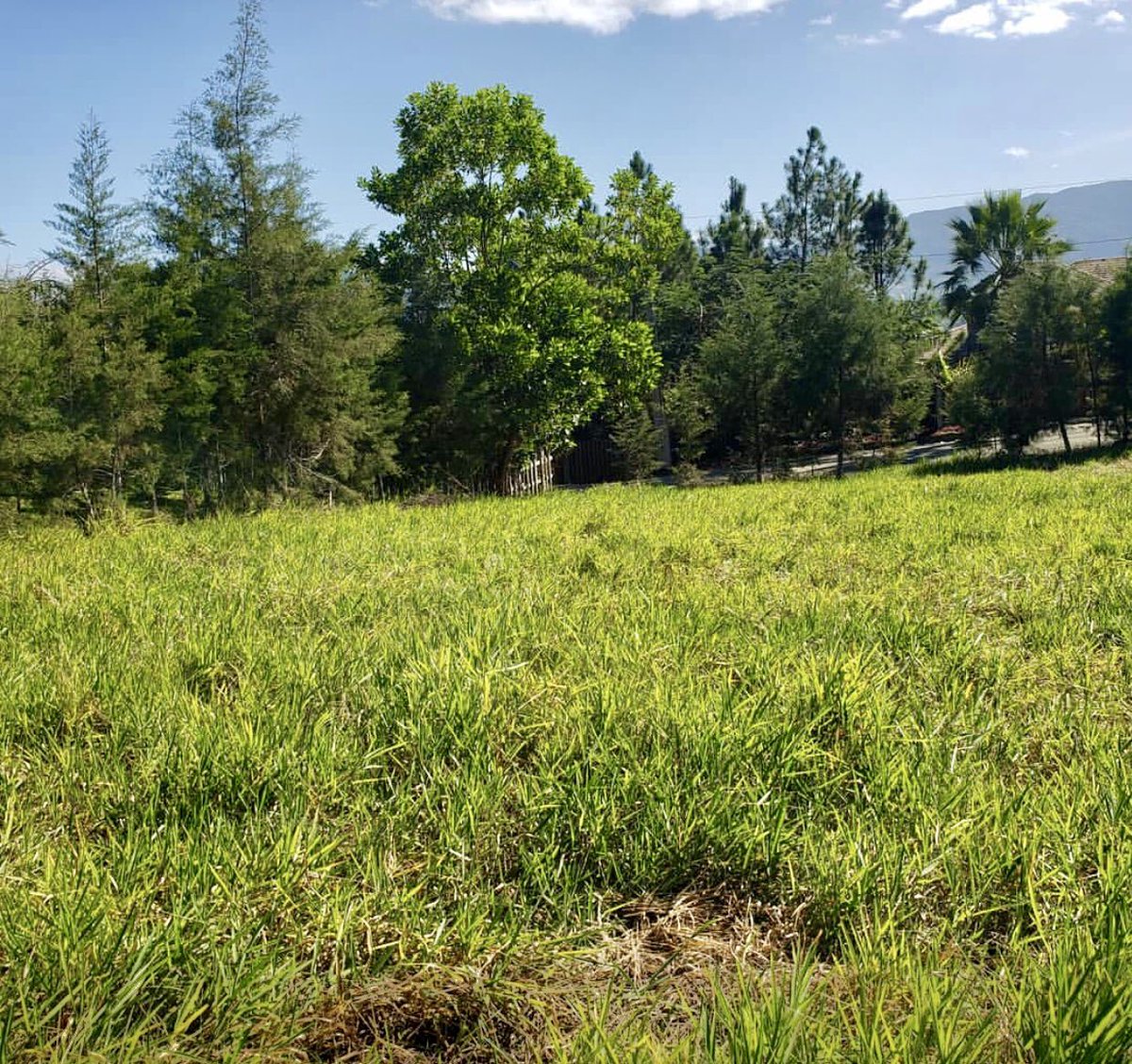 c_juridico's tweet photo. Vendo solar en zona exclusiva de Jabacaoa, proyecto cerrado en el Residencial Quinta Los Higos.

2,807mts, US$55 el metro, negociable. 

Proyecto con seguridad permanente, agua, luz, calles completamente afirmadas, a solo 10 minutos del centro de Jarabacoa.

+info 829-869-8888 https://t.co/5Vq7efh04t