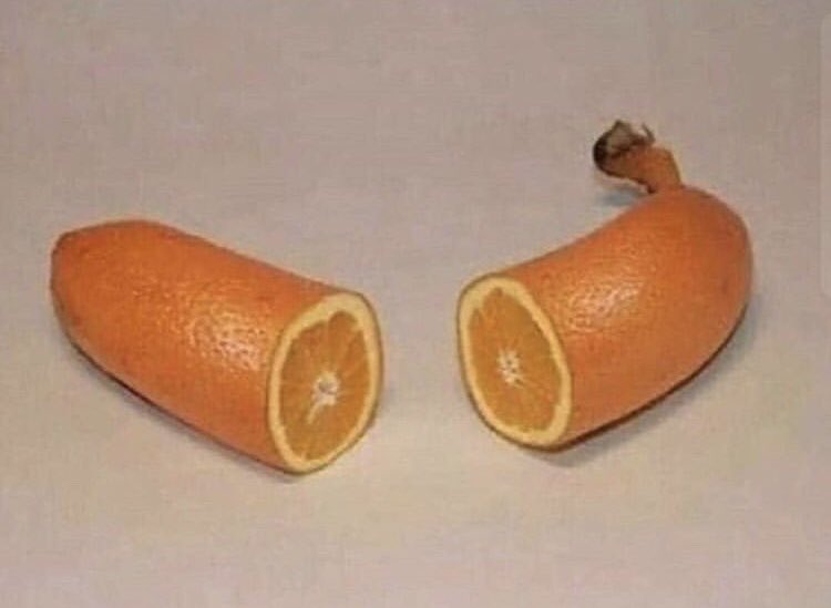 orange_jokes's tweet photo. Wait a minute https://t.co/i4SroSSTGJ