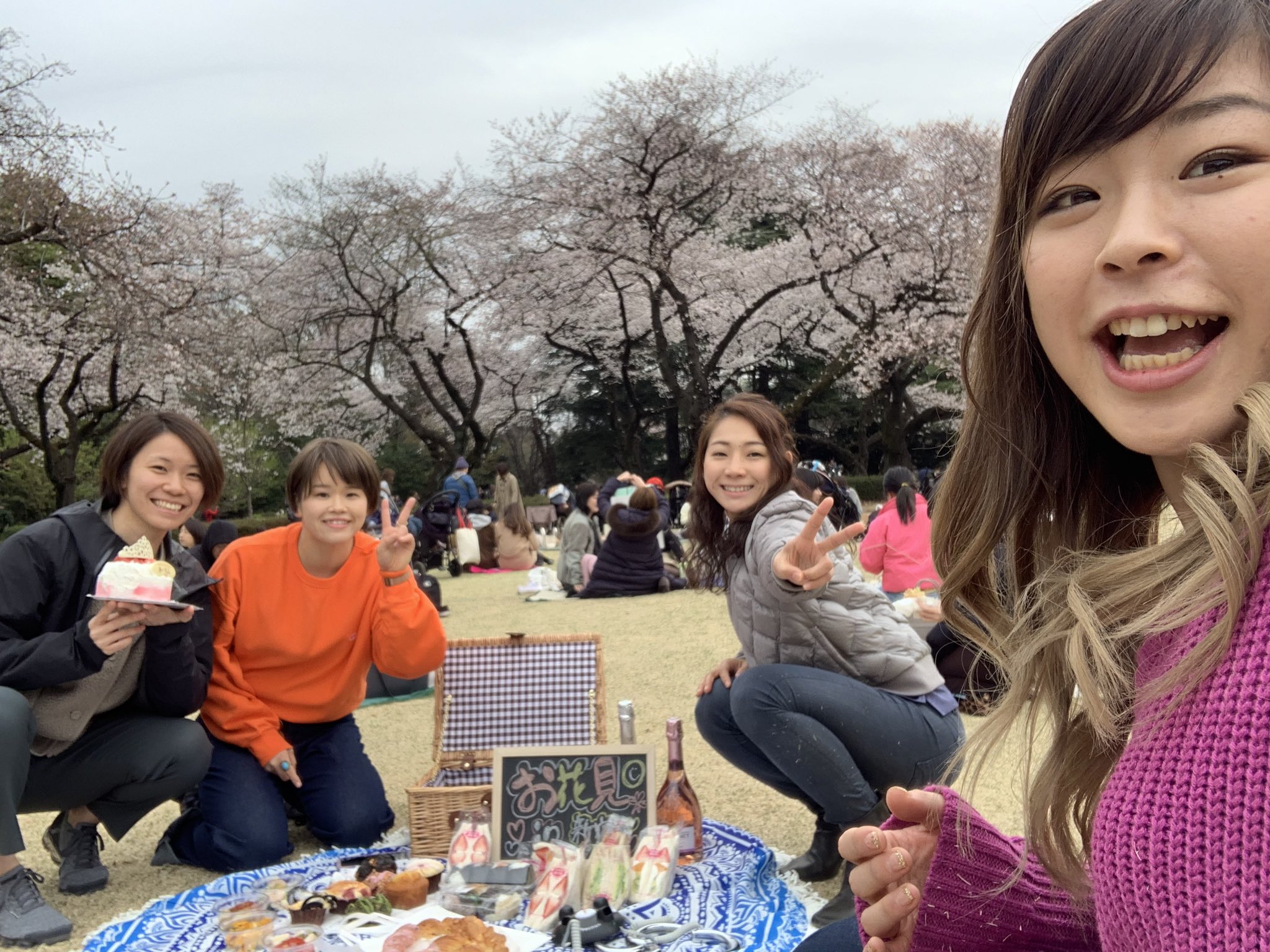 植草歩 お花見 おしゃピク 最高だった お花見 桜 おしゃピク おしゃれピクニック 新宿御苑 空手仲間 全階級集合 T Co Tvwgwsloon Twitter