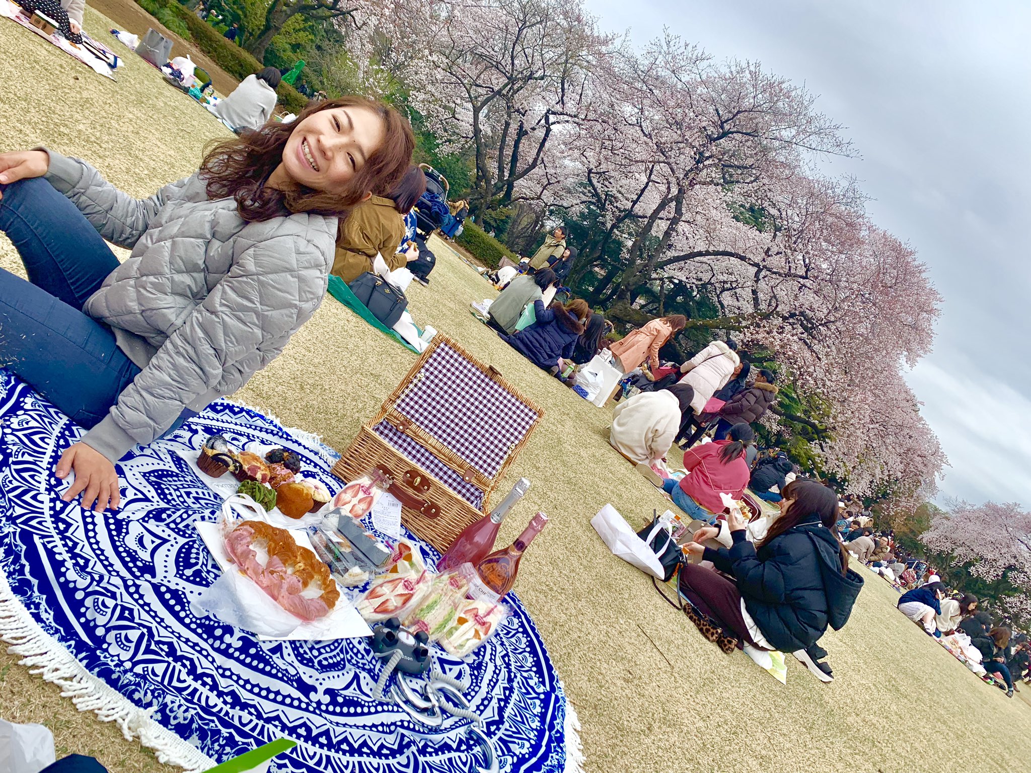 植草歩 お花見 おしゃピク 最高だった お花見 桜 おしゃピク おしゃれピクニック 新宿御苑 空手仲間 全階級集合 T Co Tvwgwsloon Twitter