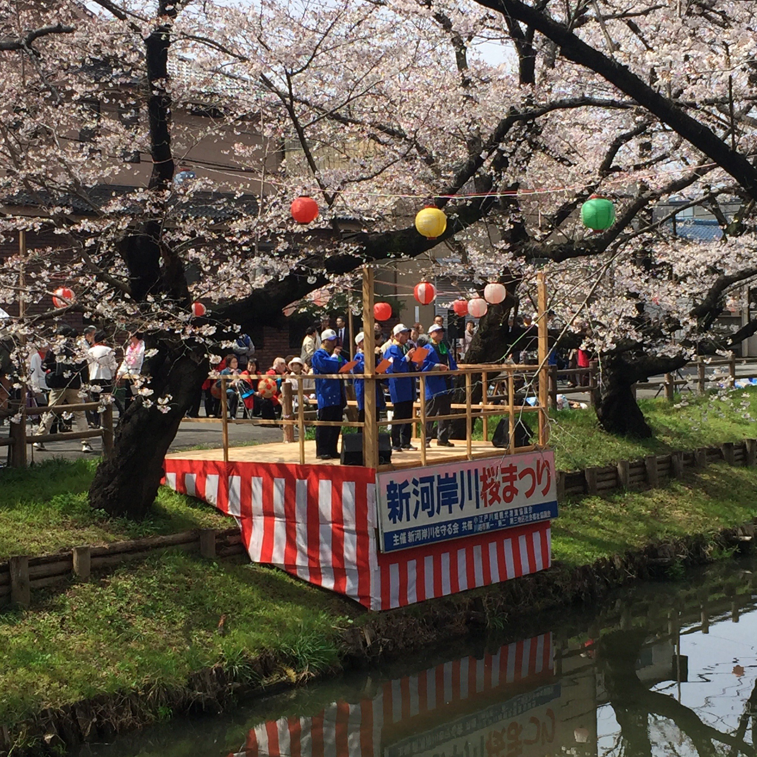 新河岸川桜まつり Twitter Search Twitter