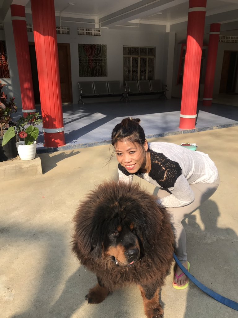 MangteC's tweet photo. "A dog is the only thing on earth that loves you more than he loves himself”...with my Esko #DogLife #dogs https://t.co/tSsjf3hP6g