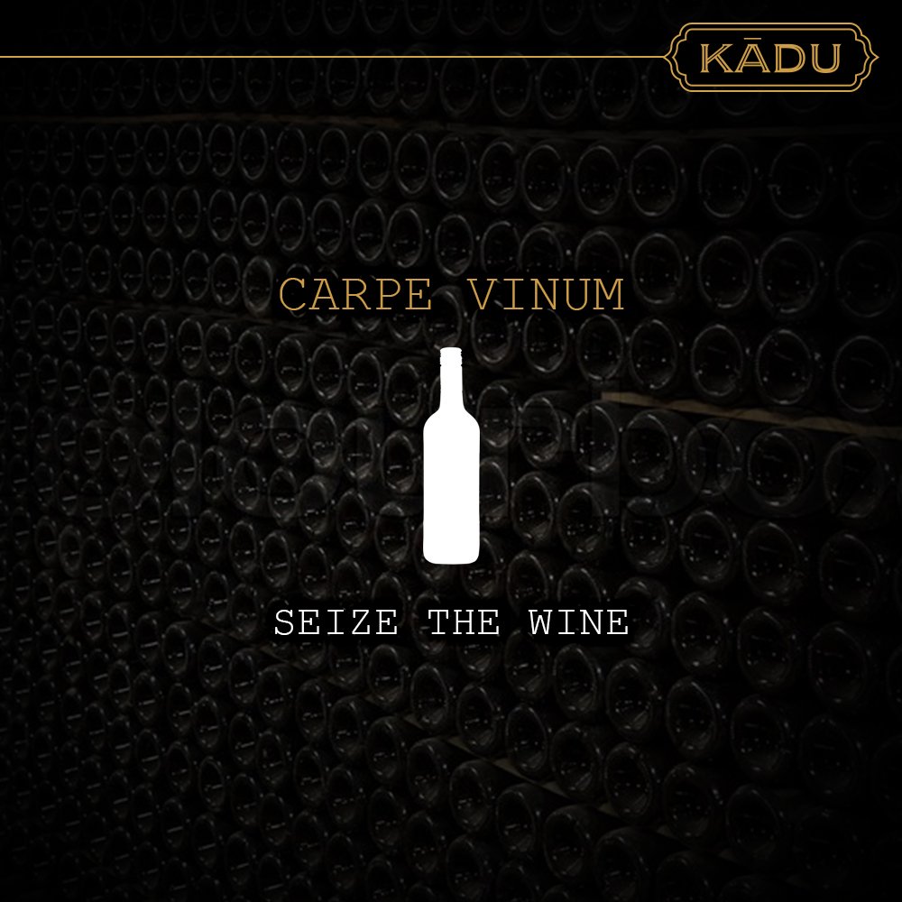 KaduIndia's tweet photo. I came, I saw, I wined. 

#Kadu #KaduWines #Vineyard #Wine #WineLover #WineTime https://t.co/VzivGe5anS