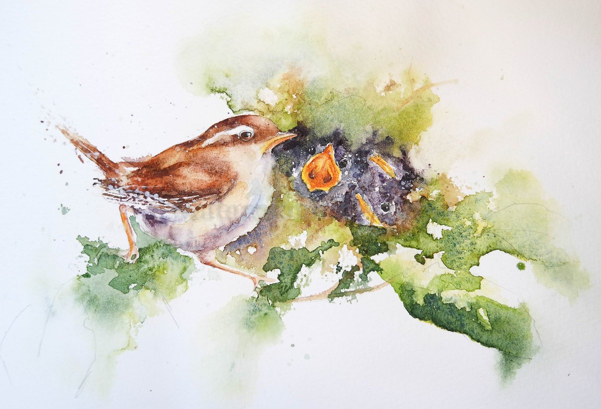 Elidanza's tweet image. For Mum's x

#MothersDay  #watercolour #animalmarch #wren #birds #devon #animalbehaviour #BigArtBoost #thedailysketch #gardenbirds #Mothersday2019  #spring #hedgerow #feedthebirds #wildlifeart #wildlifeartist #wildlife