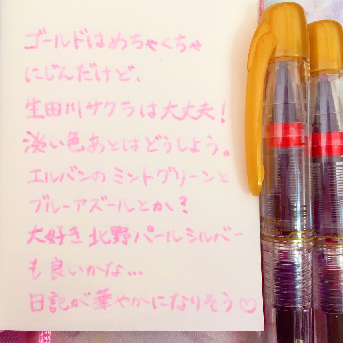 ✒︎ プラチナ 採点ペン 先生がよく使っているソフトペンを小学校で 
