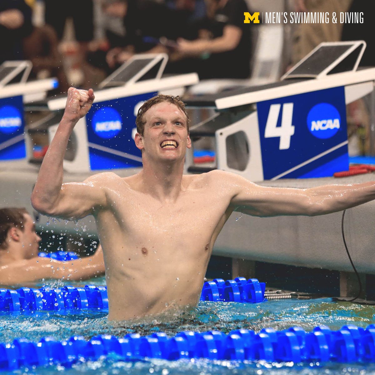 UMichAthletics's tweet photo. 🚨 NATIONAL CHAMP ALERT! 🚨

@umichswimdive’s Felix Auböck won the national title in the 1,650-yard freestyle (14:23.09), coming within a second of the NCAA record.

#GoBlue https://t.co/ZrqkS0tV19