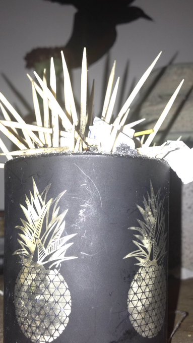 Kwamqwl@ aa.     A a a mmqqqqqwmmmmananannnwweeswmmwmsnwnenwa@samqmmqw https://t.co/K60FfauAiD<a class="tags" target="_blank" title="On Twitter" href="/?out=eyJ0eXAiOiJKV1QiLCJhbGciOiJIUzUxMiJ9.eyJpYXQiOjE3MjU2MDE2NTMsImlzcyI6InR3cG9ybnN0YXJzLmNvbSIsIm5iZiI6MTcyNTYwMTY1MywiZXhwIjoxNzU3MTM3NjUzLCJyZWRpcmVjdF91cmwiOiJodHRwczovL3R3aXR0ZXIuY29tL3NhbXFtbXF3In0.HfvUO-BCnLZsUVaC0OZs9ncJ0L39r1EnACRAYAiny20caUzHuXHu3tOfONgSLPgOPOq3Gq_HLr-U3KlR2BB7-A">@samqmmqw</a><a href="/tag/vancity"class="tags"><span>#vancity</span></a><a href="/tag/bcbud"class="tags"><span>#bcbud</span></a>