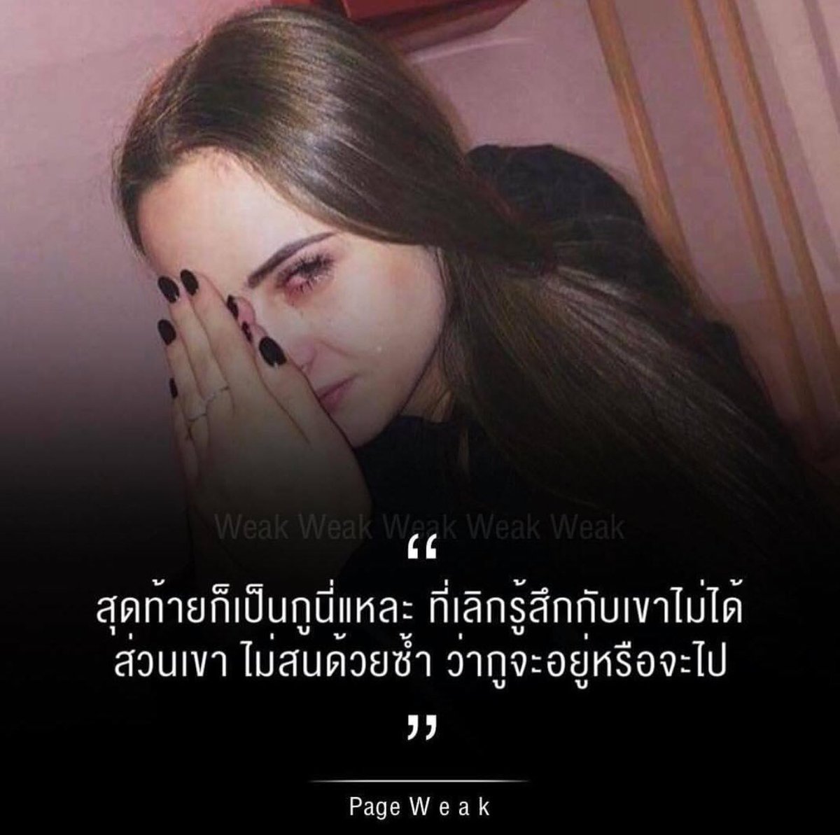 ทางของฉัน#ฝันของเธอ tweet media