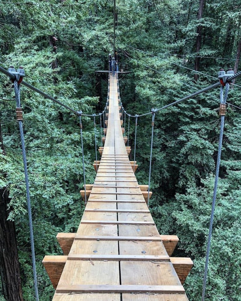Retweet if you’re down for such great heights! 6 zip lines, swinging logs, cable bridges, &amp; more - up to 150 feet in the trees! 🌲 <a href="/MountHermon/">Mount Hermon</a> is a must for all you adventurous souls! #visitsantacruz

santacruz.org/listings/mount…

📷 1 + 2 | <a href="/jennnbennett/">Jen Bennett</a> 
📷 3 | littleworldtraveler