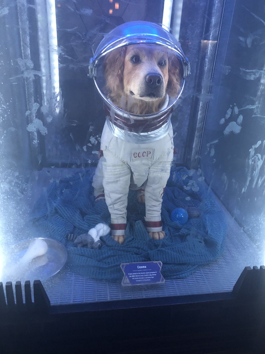 FindingHerSpot's tweet image. On a similar note, hi @JATactor! 👋🏻👋🏻👋🏻👋🏻👋🏻👋🏻 You’re so cute here. 🤣🤣🤣🤣🤣🤣 #AnimationHumor