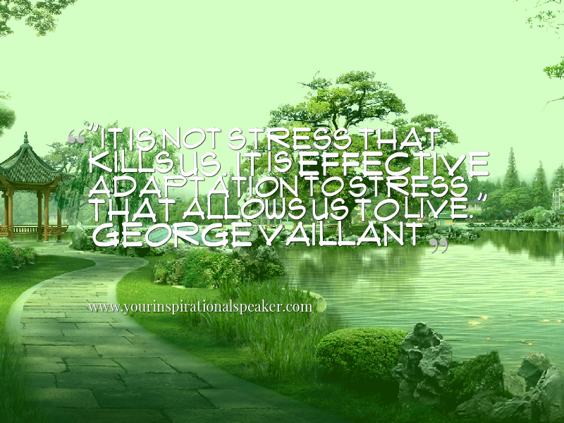 pilotspeaker's tweet photo. ''It is not stress that kills us it is effective adaption to stress that allows us to live.'' - George Vaillant #Leadership #Pilotspeaker #Soar2Success https://t.co/c5GKLUpfqb