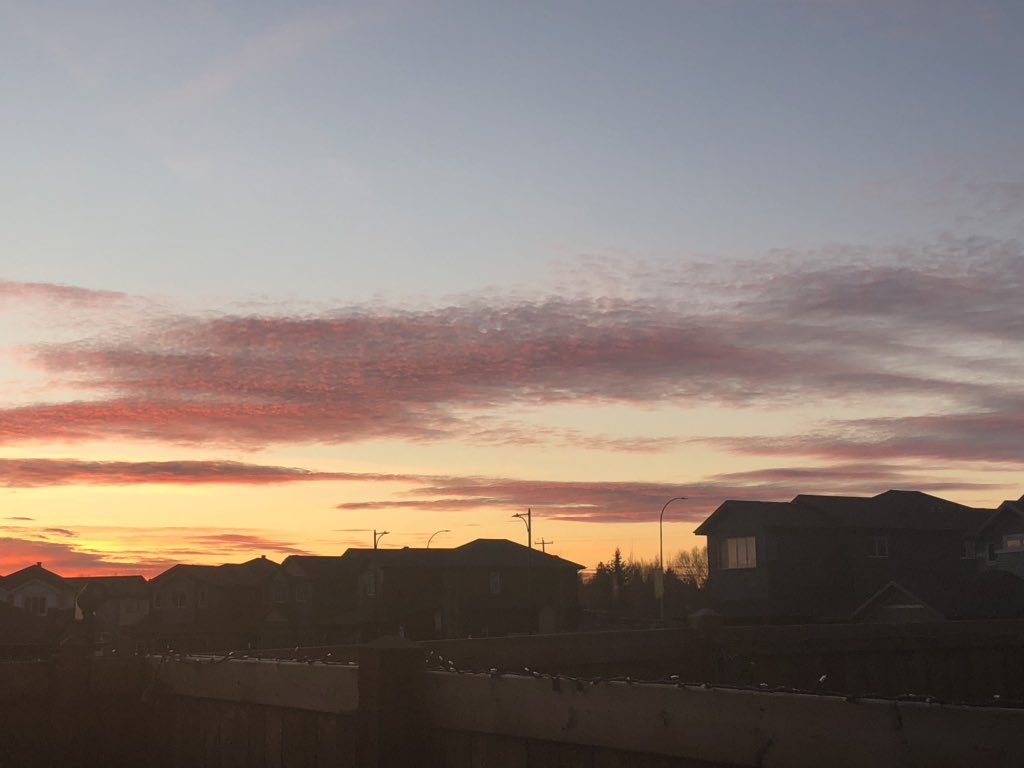 Great weekend so far! Dressed the neighbours dogs up, found the biggest chip ever and had a beautiful sunset #canforsizeonly #loveedmonton