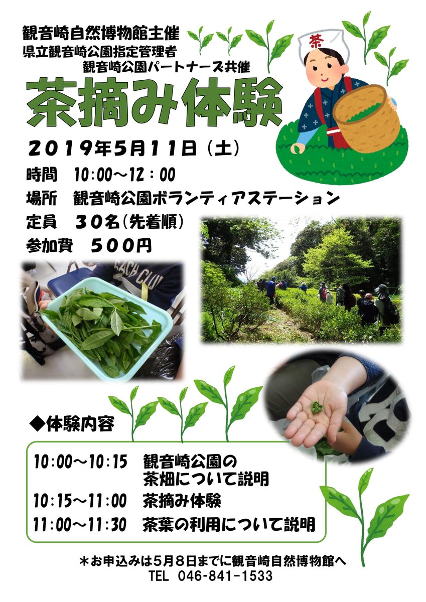 kannonzaki_n_mu photo