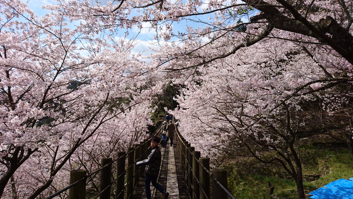 琴海花まつり