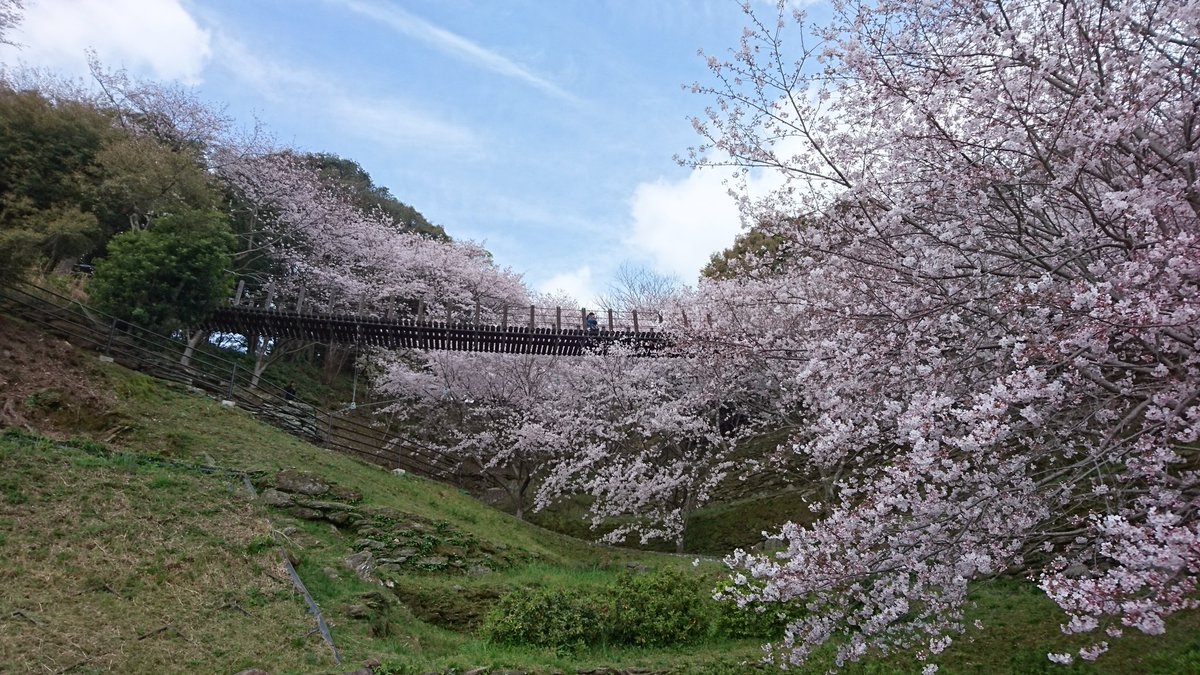 琴海花まつり