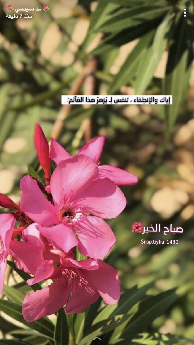 #صباح_الخير إياك والإنطفاء..تنفس ليزهر هذا العالم..(صباح الخير🌺)