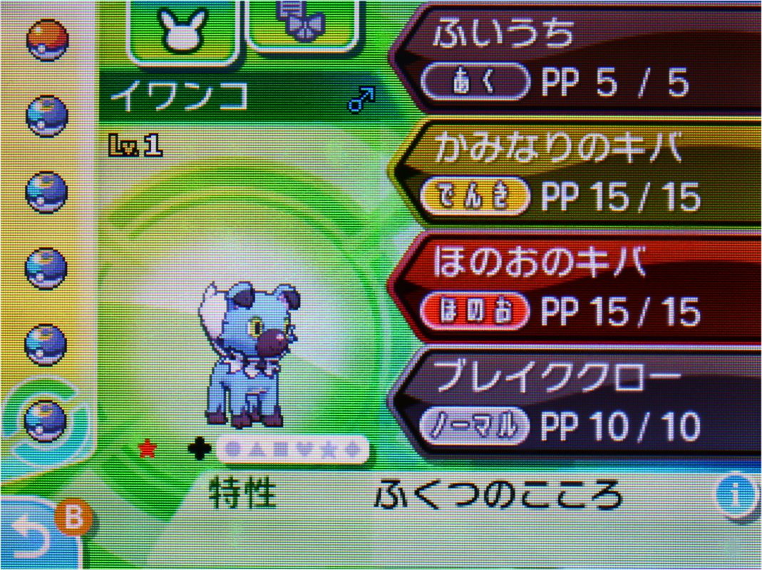 古玉 こだま またイワンコで重なってしまいましたけどこちらは真夜中の姿になります コメントしづらいね と思いつつもイワンコ 拒否回数もなく転生先が でaがなぜか伸びてしまって妥協できなかったせい 親の準備が２ ３できたのはいいことなのかなぁ