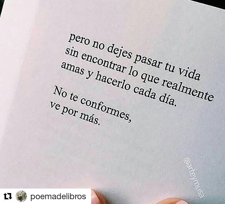 Sandra Sanchez 🇲🇽 tweet media