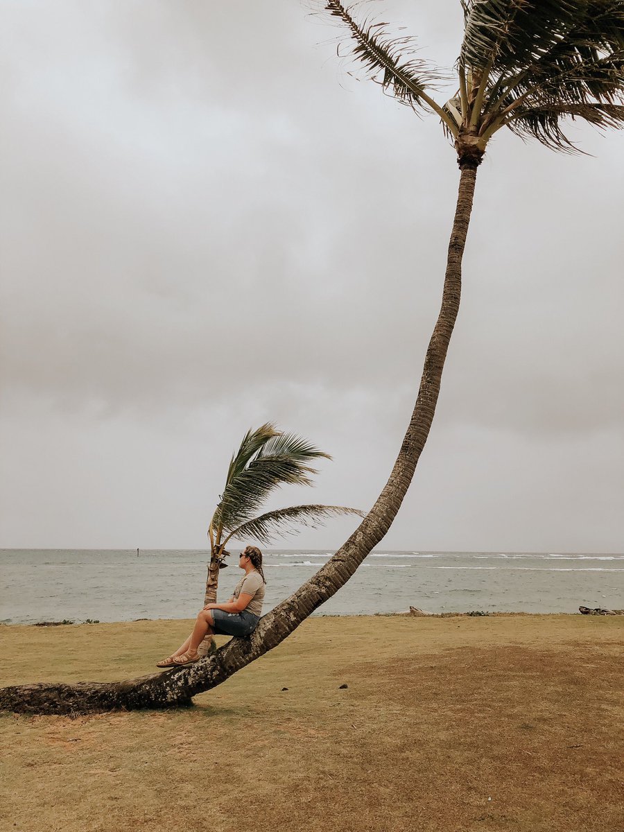 mitch81120's tweet photo. Twitter has been missing out on all my island adventures this month so I figured I’d give an update

Even though most of my followers on here also follow me on insta. 🤷🏻‍♀️

Also, the last picture is the little boy I have been nannying while I’m here and I can’t get enough of him😍 https://t.co/ArEnINorO7