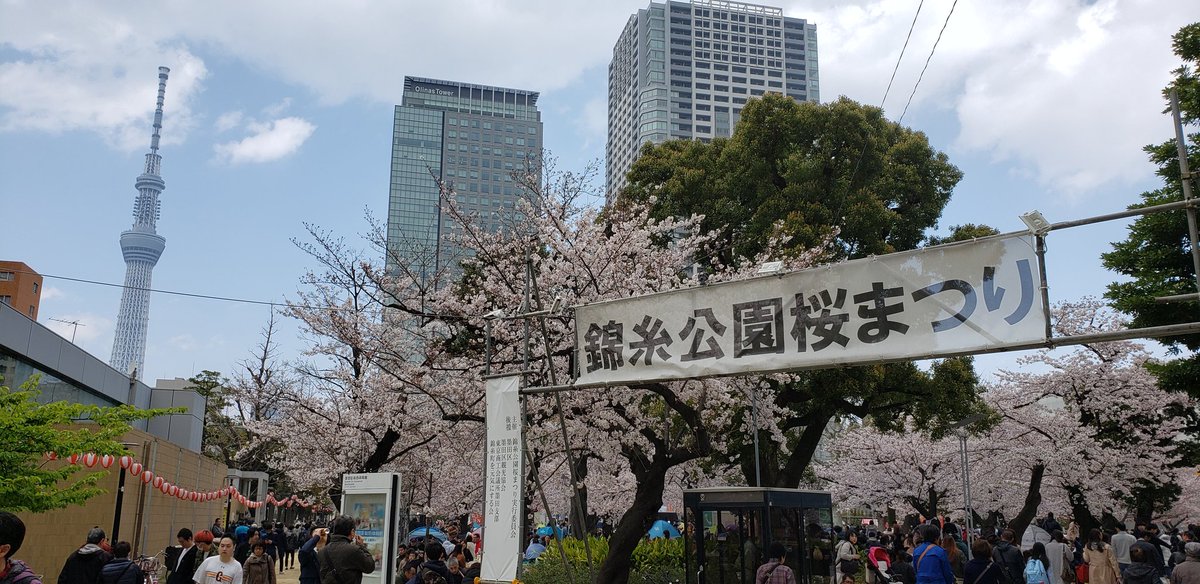 錦糸公園桜まつり