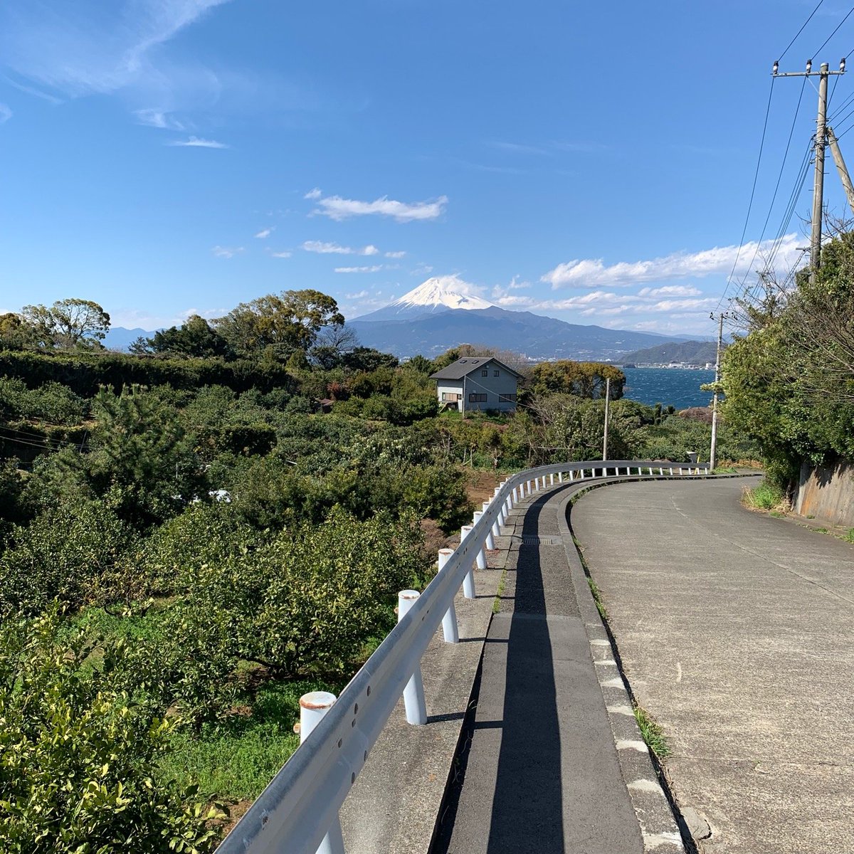 長井崎 みかん畑と富士山