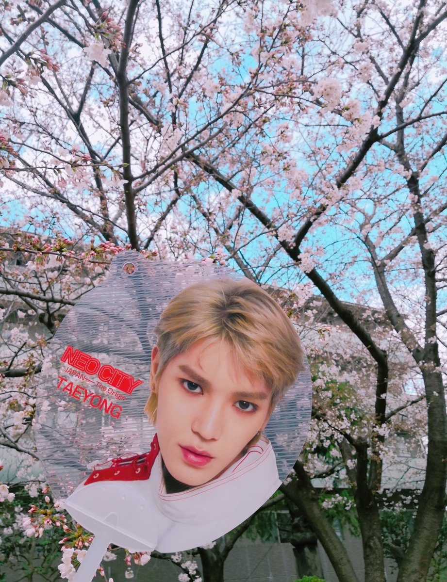 cherrytyoong's tweet photo. 태용이와 사쿠라🌸🥰 https://t.co/Xid7gDYsaN