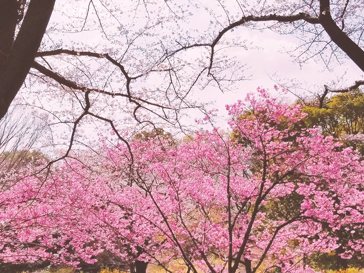 こいけけいこ (@koikekeiko1021) / Posts / X