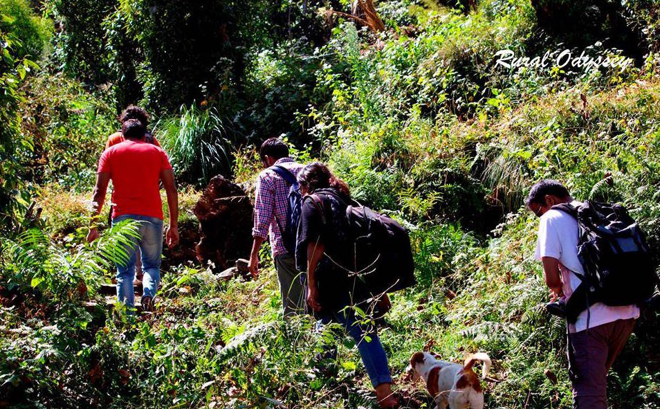 Just another day with our curious travelers on-board, exploring and learning about the farms and forests of a village in Uttarakhand. 

When was the last time you went inside a forest and ate some wild berries?

#ruralodyssey #nature #sustainabletourism