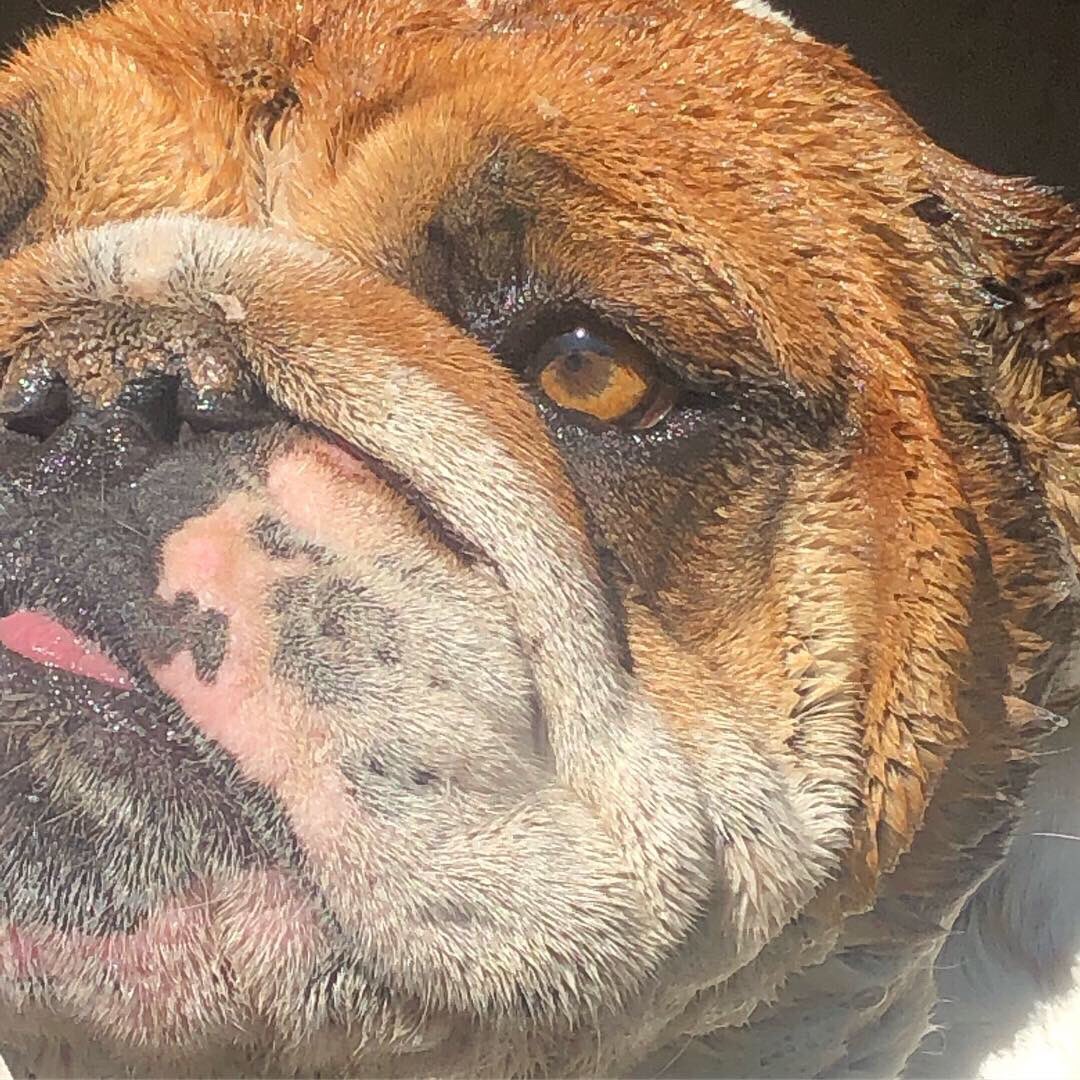 Unndress's tweet photo. Why have you forsaken me ? - Ivy https://t.co/tEXO2R20UJ