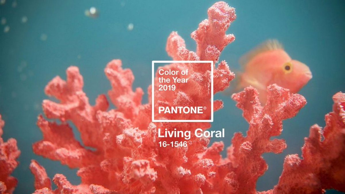 MallersKitchens's tweet photo. Spring is definitely in the air! You can have whatever kitchen you want with our colour match service. In any style. Or there's Kitchen Stori's standard 27 colours. For inspiration you might be interested to know that Pantone's colour of the year 2019 is Living Coral. Can't wait! https://t.co/RDc3yGrHBu