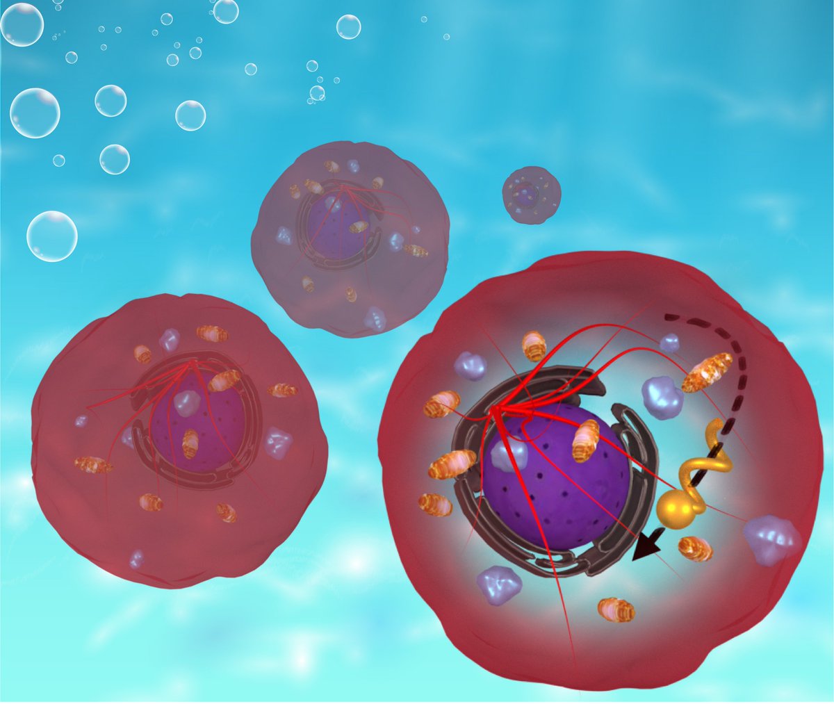 Found the cartoon I made for news articles  ... 😀😀
#scicomm #publicoutreach
onlinelibrary.wiley.com/doi/full/10.10… …
onlinelibrary.wiley.com/doi/full/10.10… …
en.wikipedia.org/wiki/Nanomotor