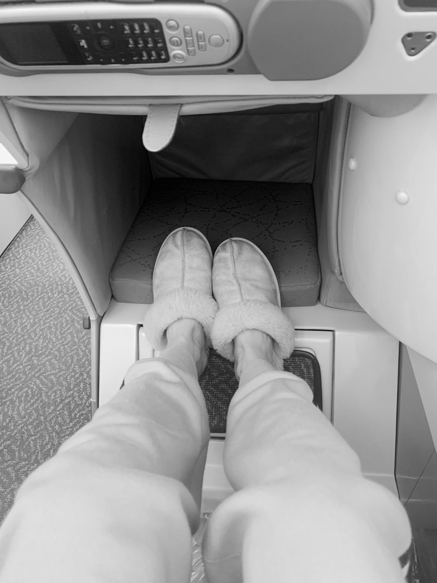 Rollo🐬🦄 tweet media