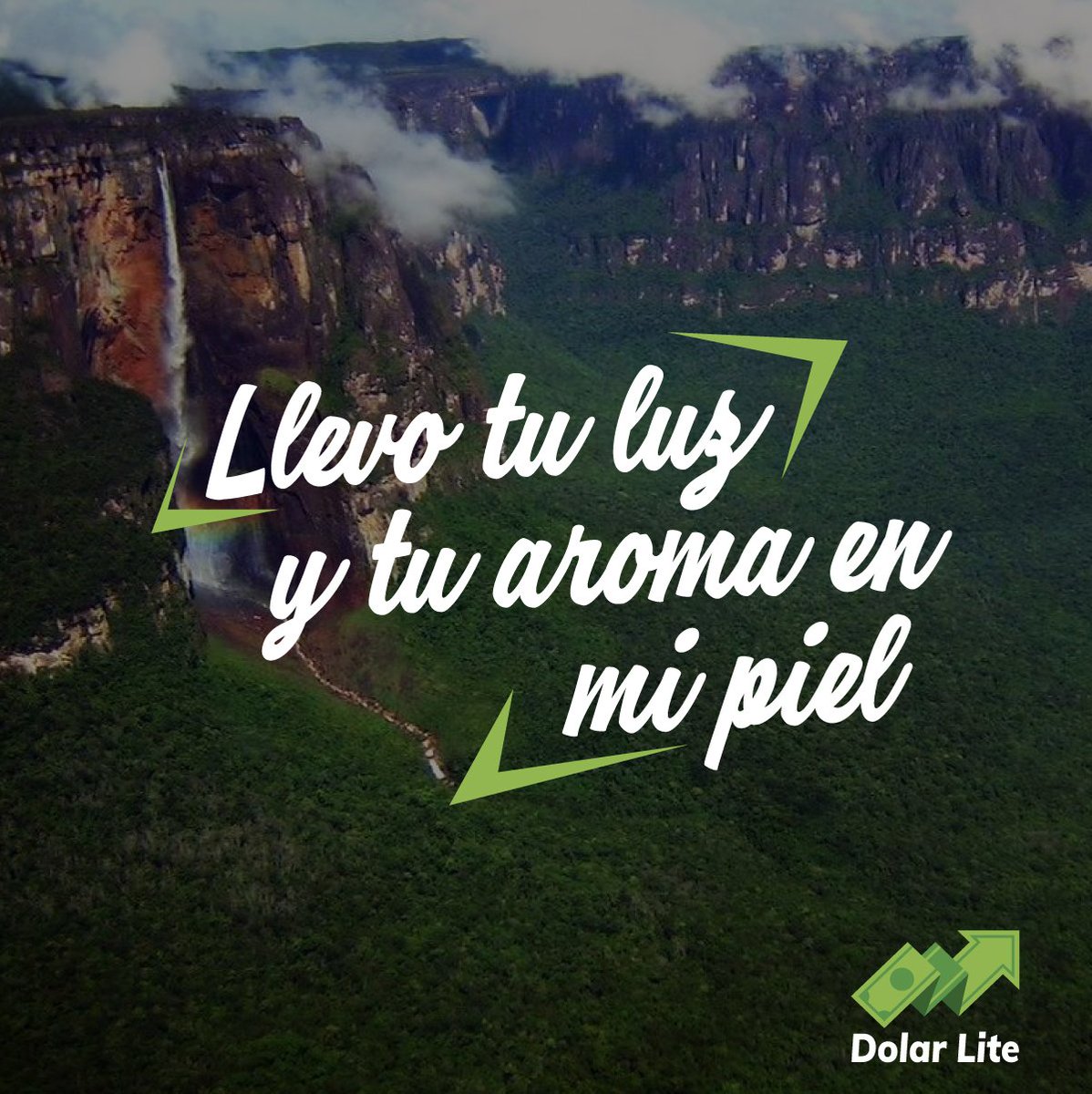 Dolarlite_'s tweet photo. Si, eres venezolano completa la canción 🇻🇪
.
.
.
#Dolarlite #Remesas https://t.co/GDeiIMSteY