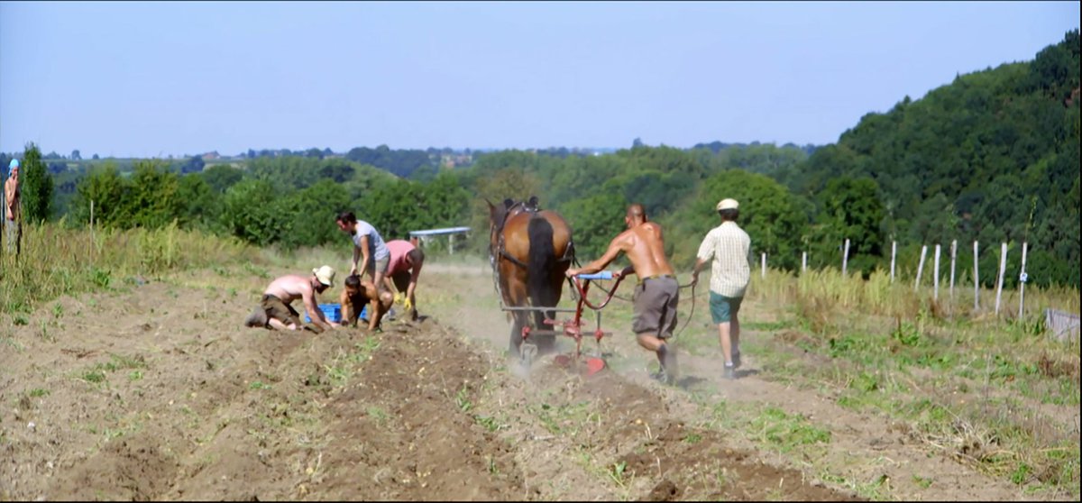 RadioTeleSuisse's tweet image. Cyril Dion revient sur les micro-initiatives que son documentaire &quot;Demain&quot; a inspirées. Quel est leur impact, qu’est-ce qui marche, qui échoue? &quot;Après Demain&quot;, disponible encore 29 jours sur RTS.ch

#LesDocs #RTSDeux @cdion @demain_lefilm
bit.ly/2Y9hcpV