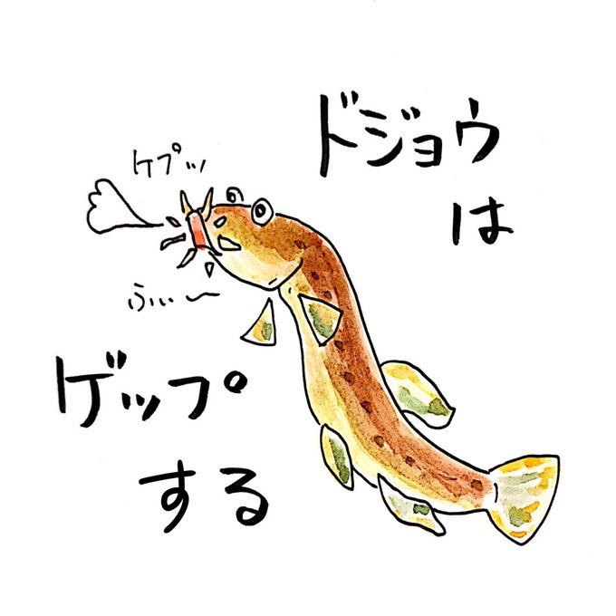ドジョウのtwitterイラスト検索結果 古い順 ドジョウのtwitterイラスト検索結果 古い順