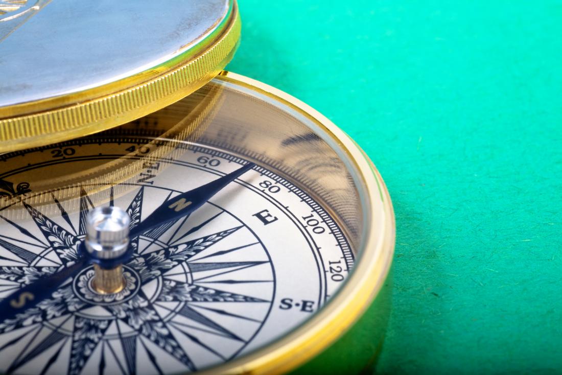 MNT_Tim's tweet image. Can you detect changes in the earth&apos;s magnetic field? mnt.to/4Mg6 @mnt_tim #magnetoreception #magnets