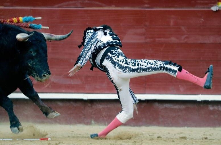 Amigos de TPT tweet media