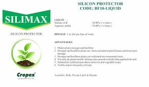 CropexL's tweet photo. https://t.co/26MVphSyfu