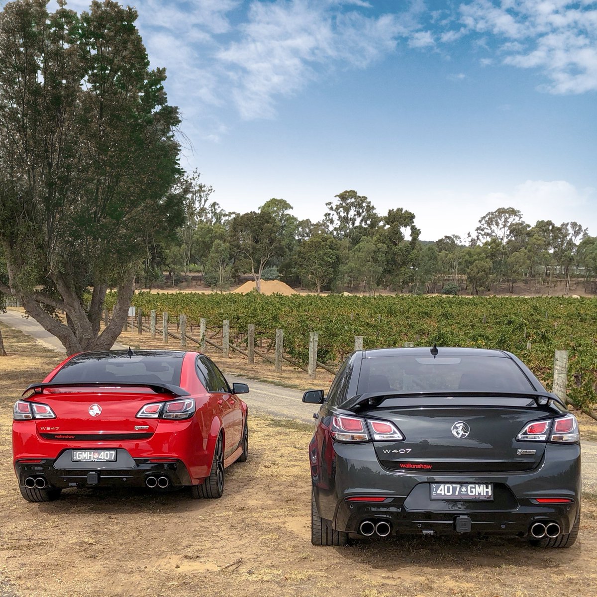 WalkinshawPerf's tweet photo. What do you do when you can't choose? Buy both, of course!
π· #W407 Holden Owner, AndreΓ£ C.
π§ Walkinshaw Performance Victoria, Dandenong https://t.co/zoCOiMNcp5