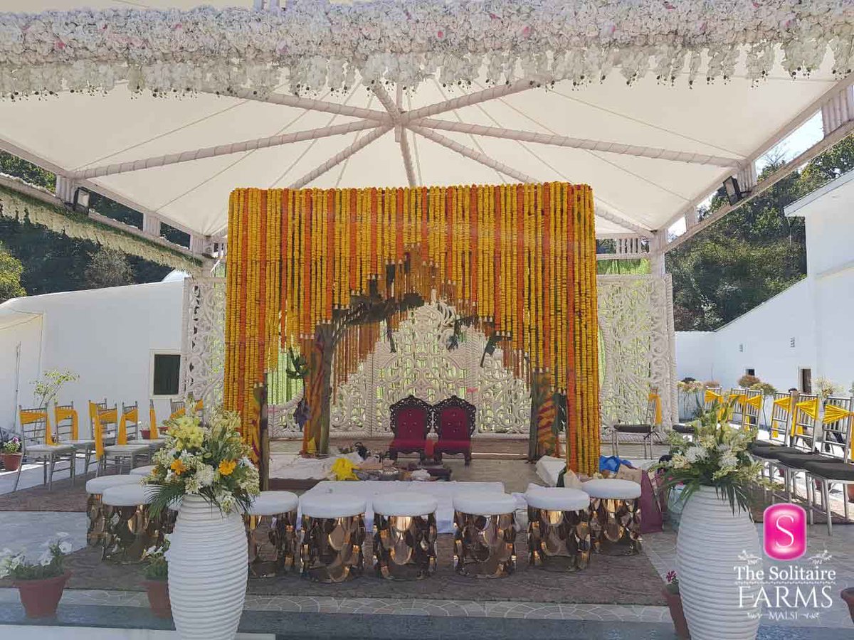 TheSolitaireDDN's tweet photo. For your Fairy Tale Weddings!! #TheSolitaireFarms!

Call: +91 97191 65651
Location: The Solitaire Farms, Malsi, Mussoorie Rd, Dehradun

#Wedding #Luxury #Banquet #GrandEvents #MemorableMoments #Dehradun #TheSolitaire #SolitaireFarms #Malsi #MussoorieRoad https://t.co/yeIsjJsoAE