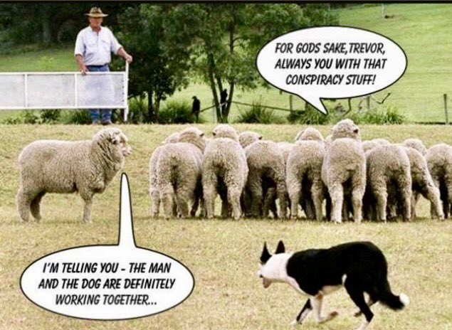 robirdie777's tweet photo. When a person has opinions and doesn't follow MSM's narrative we are either  
" Right Wing Extremist "
                  OR 
" Conspiracy Theorist "
             ⬇️⬇️⬇️ https://t.co/AAF9vlI41d