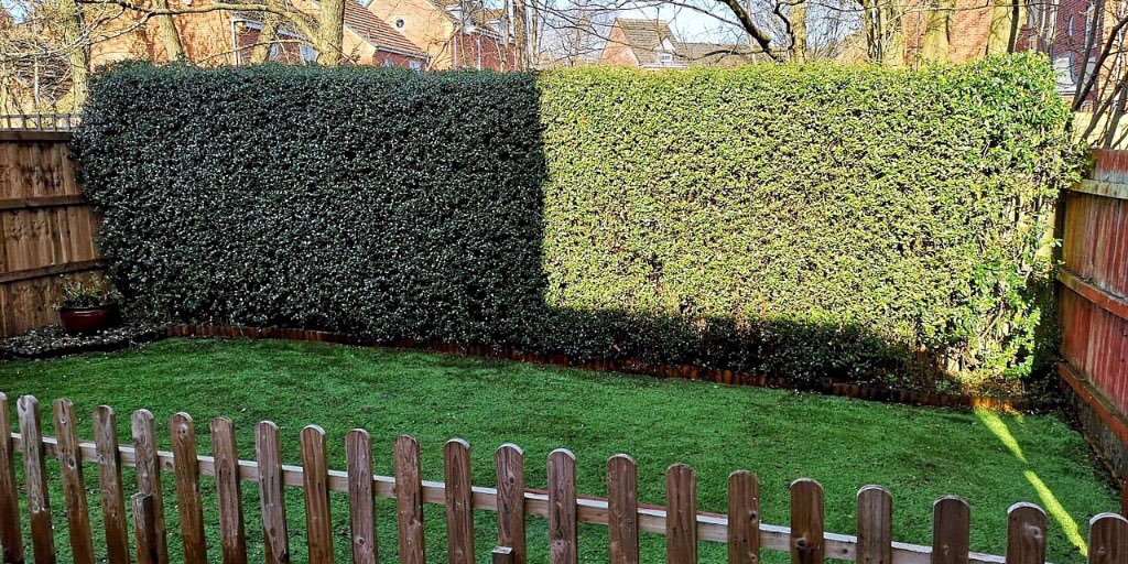 CloverGardening's tweet photo. It’s that time of year for trimming those hedges and generally tidying up your garden so that it’s looking it’s best for Spring.

Get in touch if you need our help - now taking bookings for April. 
#bromsgrove #gardeningservices #springtidy #hedgetrimming https://t.co/lZCn9J4da5
