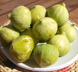 griechisches's tweet photo. #grenuss = Genuss in Griechenland, z. B. griechische Früchte wie die köstliche Feigen, die dort reifen. Schon d.antike Gott Dionysos war ein Freund dieser Köstlichkeit. Mehr dazu: https://t.co/r3M5xQ4Yim https://t.co/Eelb3ebjQA