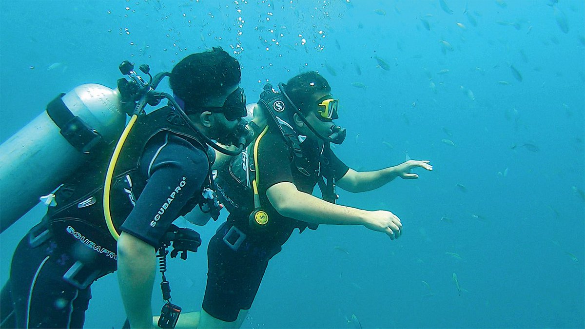 LPMagIn's tweet photo. Take a break from the road, interact with the sea life. Adventure awaits! #Suvlife #nowiscalling #audiq5 #audiquattro @krnx @Karkeragirish @AudiIN https://t.co/AYYuEZBwMH