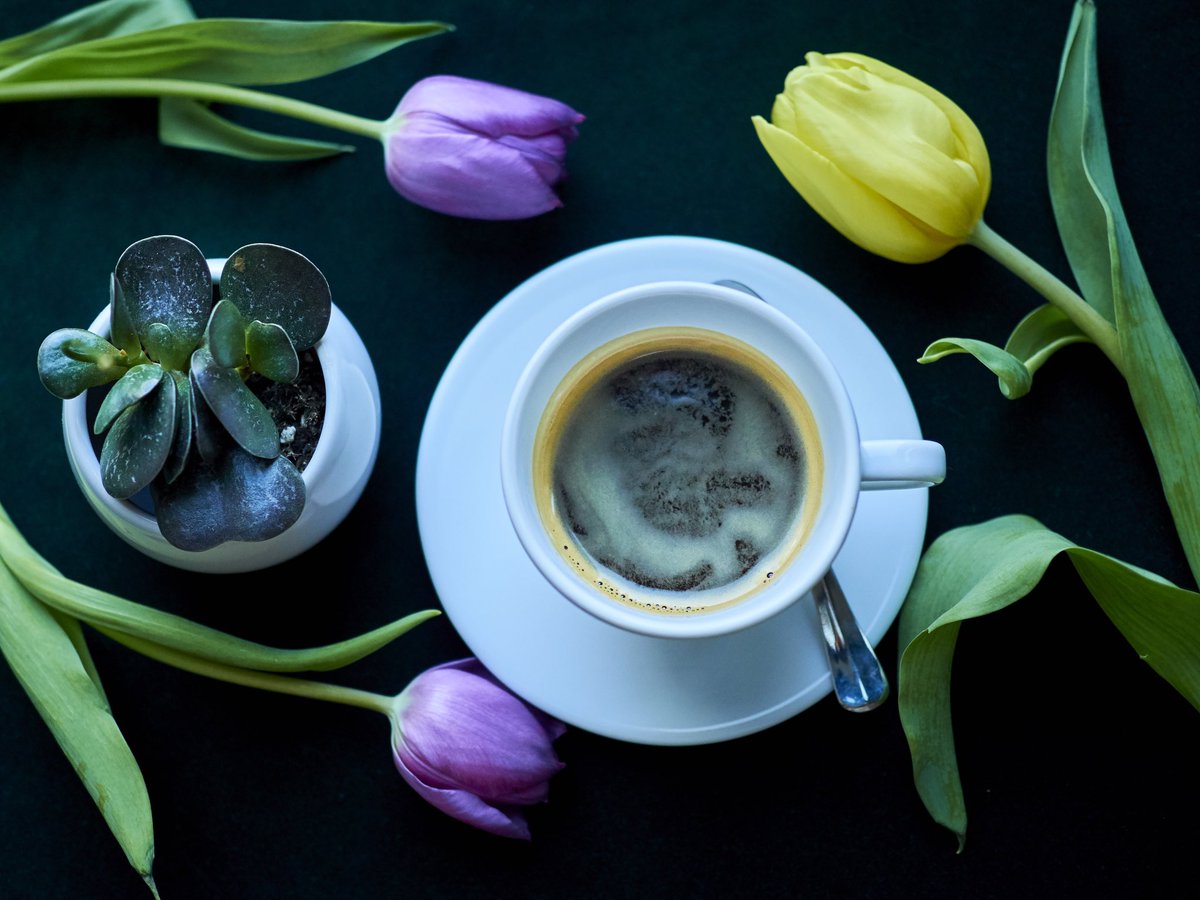 daftcafe's tweet photo. Pssst... Słuchajcie, to już nie żarty. Coraz bliżej wiosna. Tak tylko dajemy znać, jakbyście nie zauważyli :) https://t.co/Zy2kfIlkah