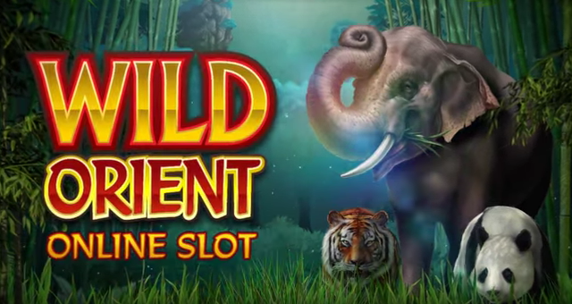 FreeBonusSlots's tweet photo. Play #Microgaming Wild Orient Slot for free with UK Casinos 8 https://t.co/i6DfdrUspe https://t.co/nIdhHZSWrB