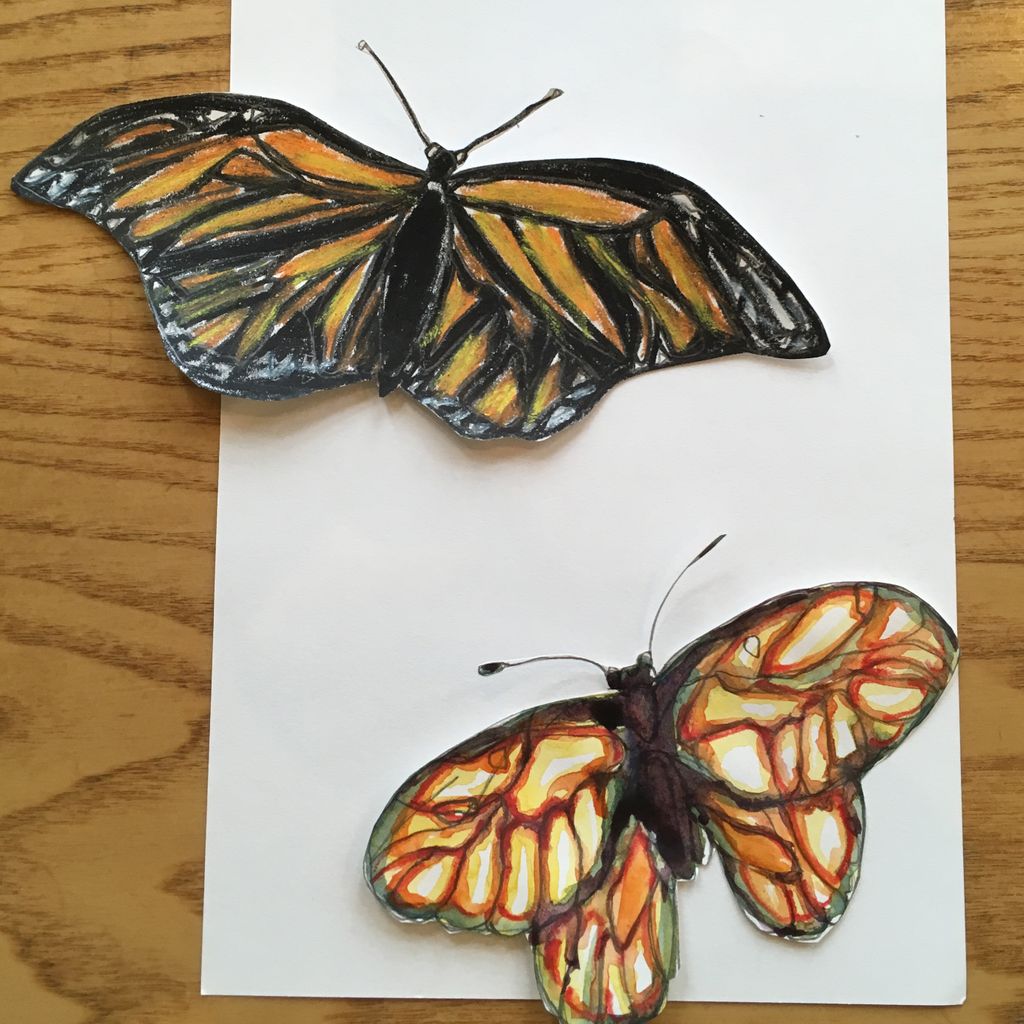 Cool personal projects with Life Skills Art Space yesterday #butteryflys #art @TheGenesisTrust <a href="/GenesisBathLS/">Lifeskills</a>