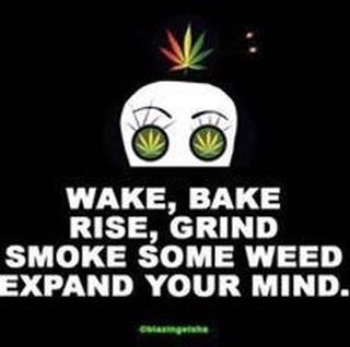stinksack's tweet photo. #smellproof #odorless #stinksack #stealth #cannabis #marijuana #dabs #extracts #edibles #headies #kush #cancer #indica #newyorkcity #smokeweedeveryday #cbd #thc  #ommp #snoopdog #wutangclan #cypresshill #cannabis #bassnectar #festivals #burningman #ommp https://t.co/IJKryVPafw https://t.co/L8R2PEPRFk