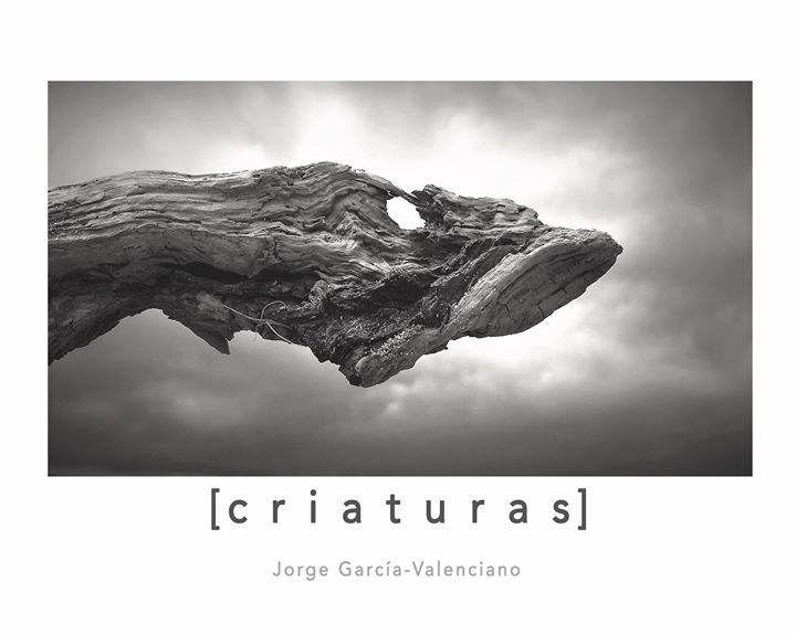 Criaturas extrañas, seres plutónicos de nácar abisal, delicados monstruos de belleza submarina… ¿Te atreves a descubrirlos? Ven a Mardesía y déjate llevar de la mano del artista Jorge García-Valenciano!